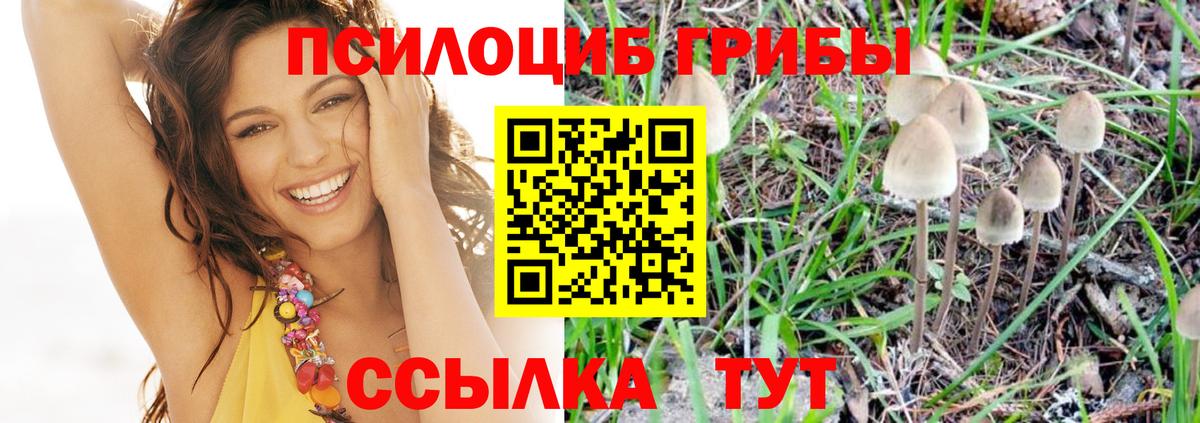 Медногорск  Галлюциногенные грибы ЛСД  Вход с VPN  Галлюциногенные грибы Psilocybine cubensis 